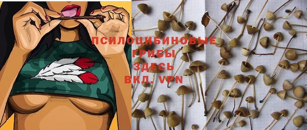 прущая мука Аркадак