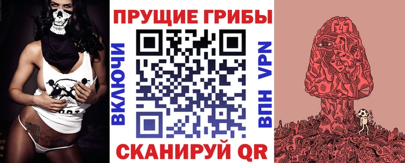 как найти закладки  Беломорск  Псилоцибиновые грибы GOLDEN TEACHER 