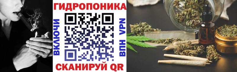Бошки марихуана Amnesia  MEGA   Беломорск 